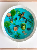 Pond Life Cycle Sensory Kit And Water Play | Themed Sensory Table Supplies Kit for Shared Play