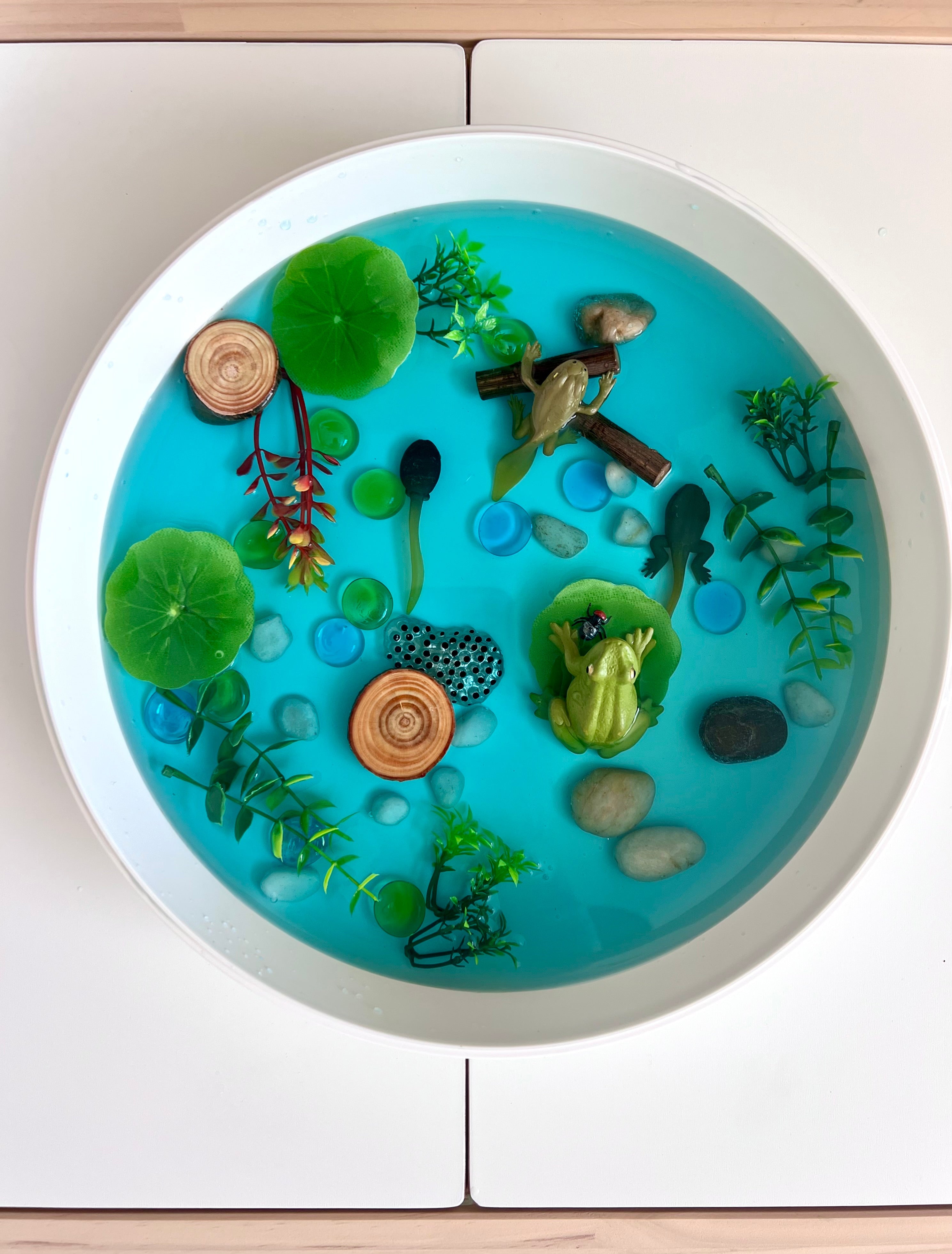Pond Life Cycle Sensory Kit And Water Play | Themed Sensory Table Supplies Kit for Shared Play