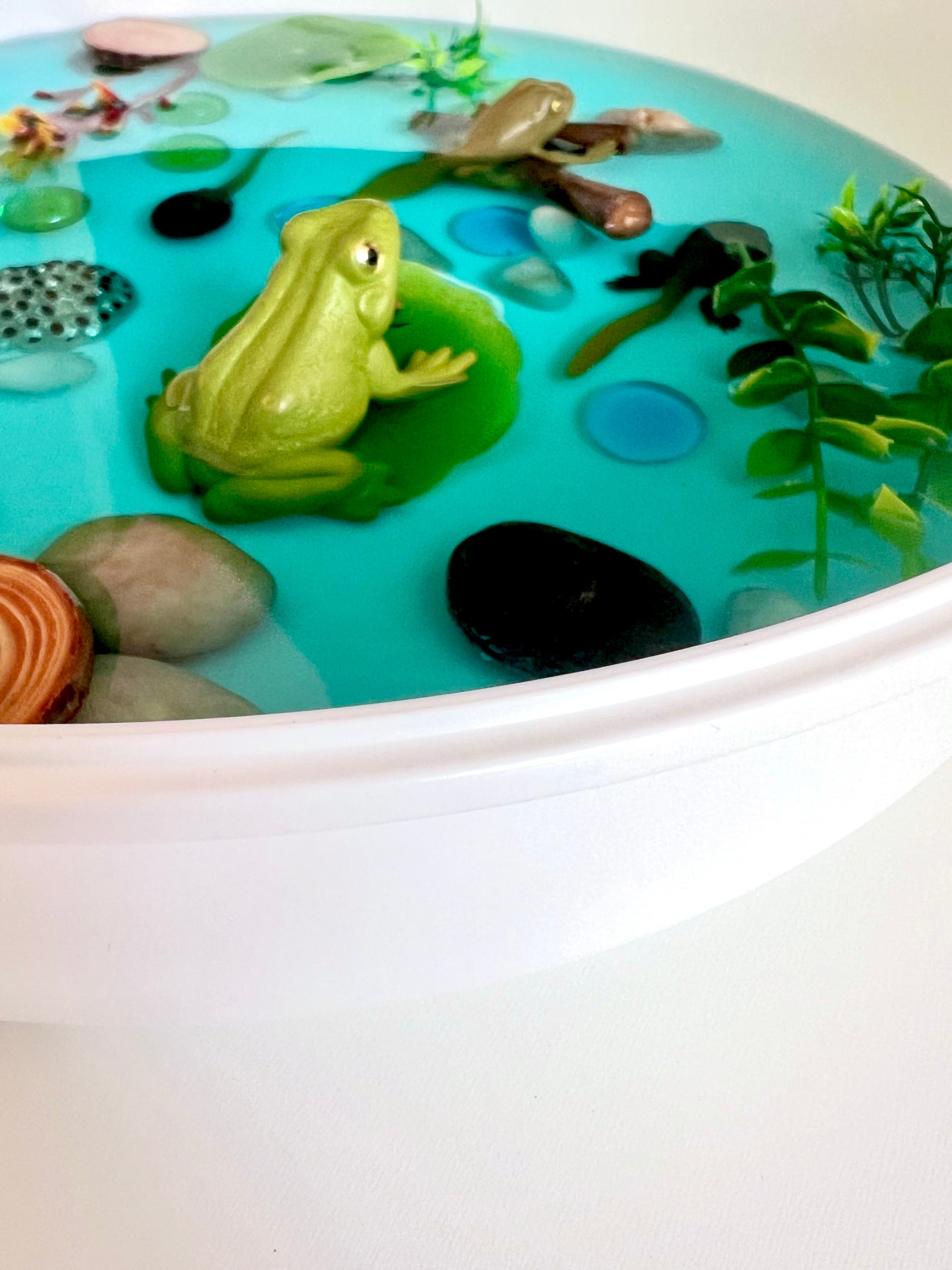 Pond Life Cycle Sensory Kit And Water Play | Themed Sensory Table Supplies Kit for Shared Play