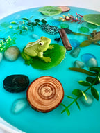 Pond Life Cycle Sensory Kit And Water Play | Themed Sensory Table Supplies Kit for Shared Play