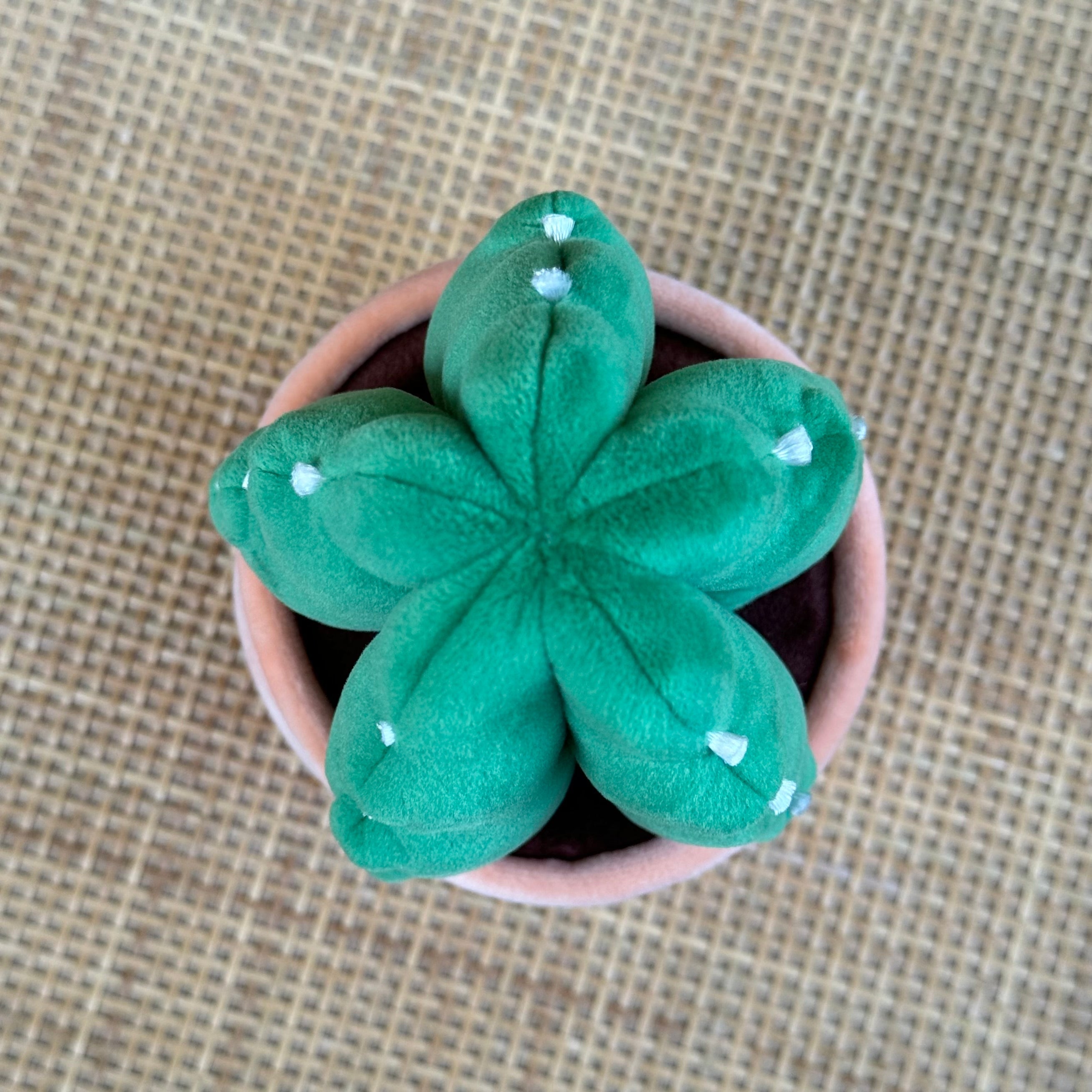 Cuddly Cactus Plant Plushie | 10-Inch Lightly Weighted Botanical Plush