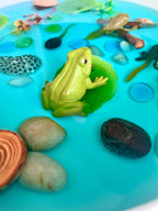 Pond Life Cycle Sensory Kit And Water Play | Themed Sensory Table Supplies Kit for Shared Play
