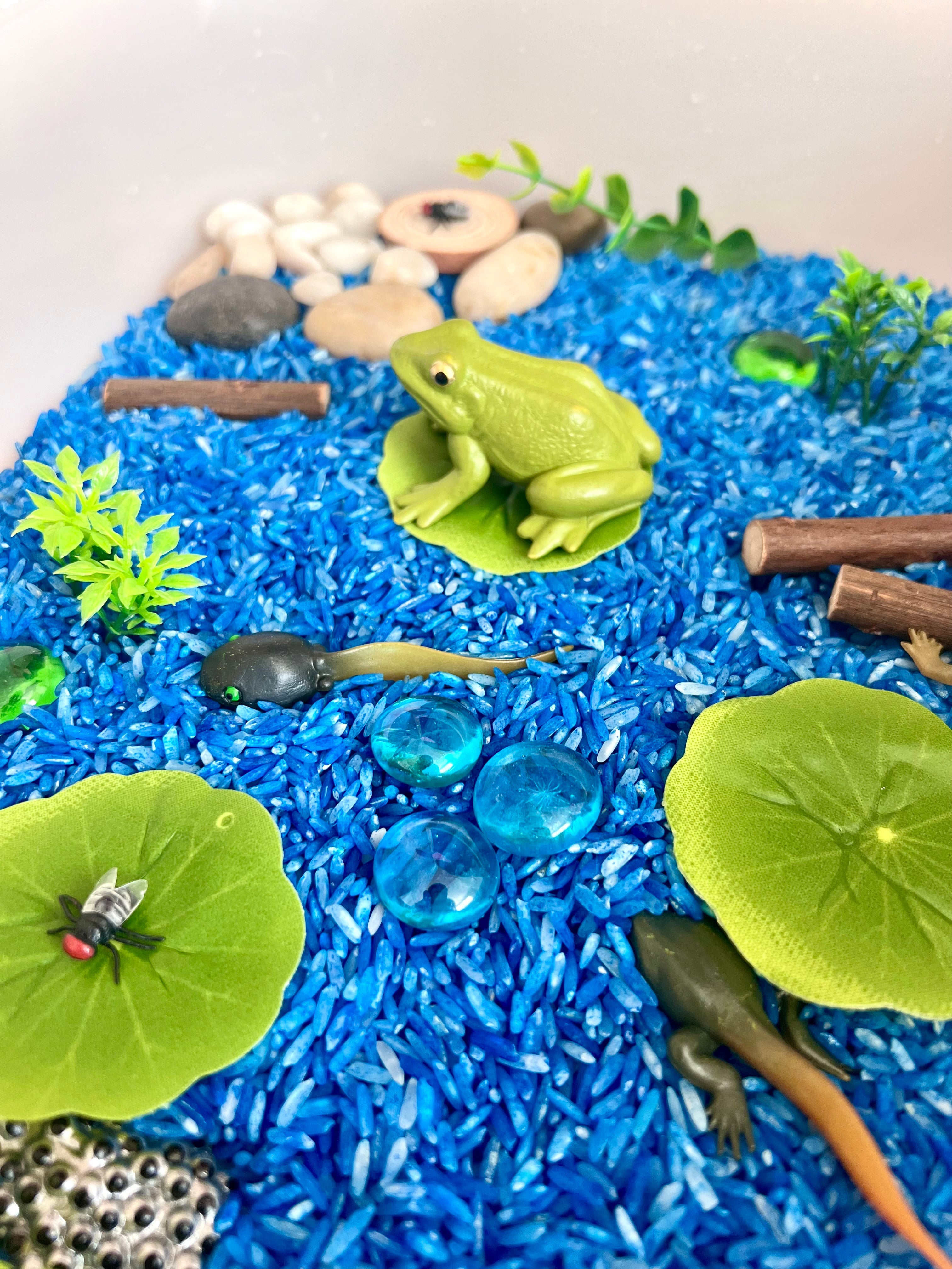 Pond Life Cycle Sensory Kit And Water Play | Themed Sensory Table Supplies Kit for Shared Play