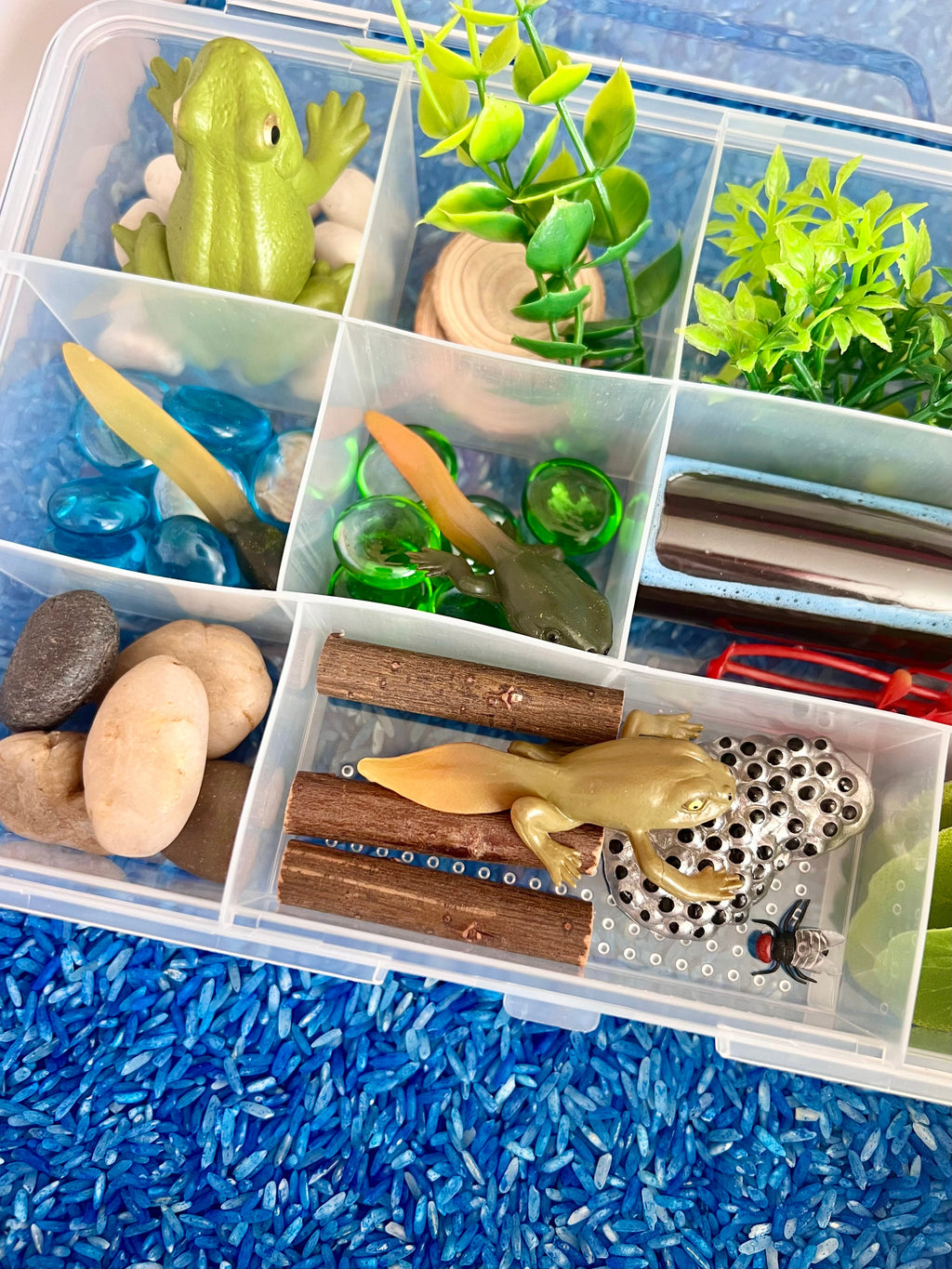 Pond Life Cycle Sensory Kit And Water Play | Themed Sensory Table Supplies Kit for Shared Play