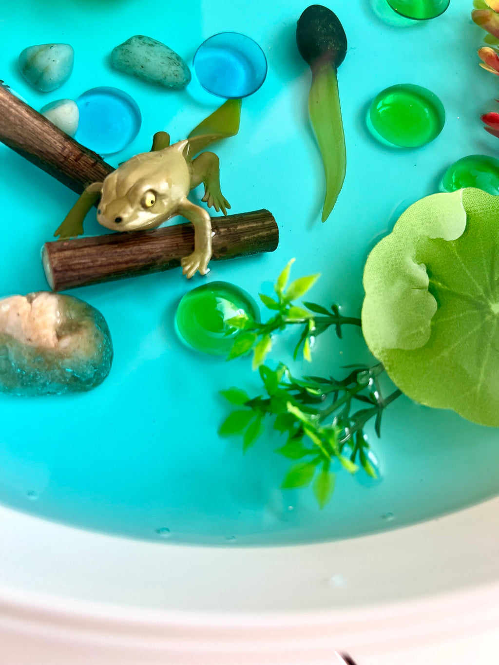 Pond Life Cycle Sensory Kit And Water Play | Themed Sensory Table Supplies Kit for Shared Play