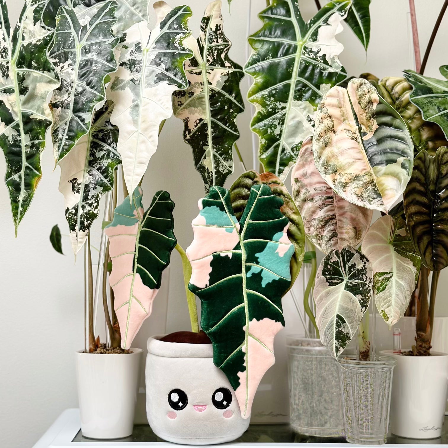 Variegated Alocasia Amazonica Plant Plushie | 15-inch Botanical Plant Plush