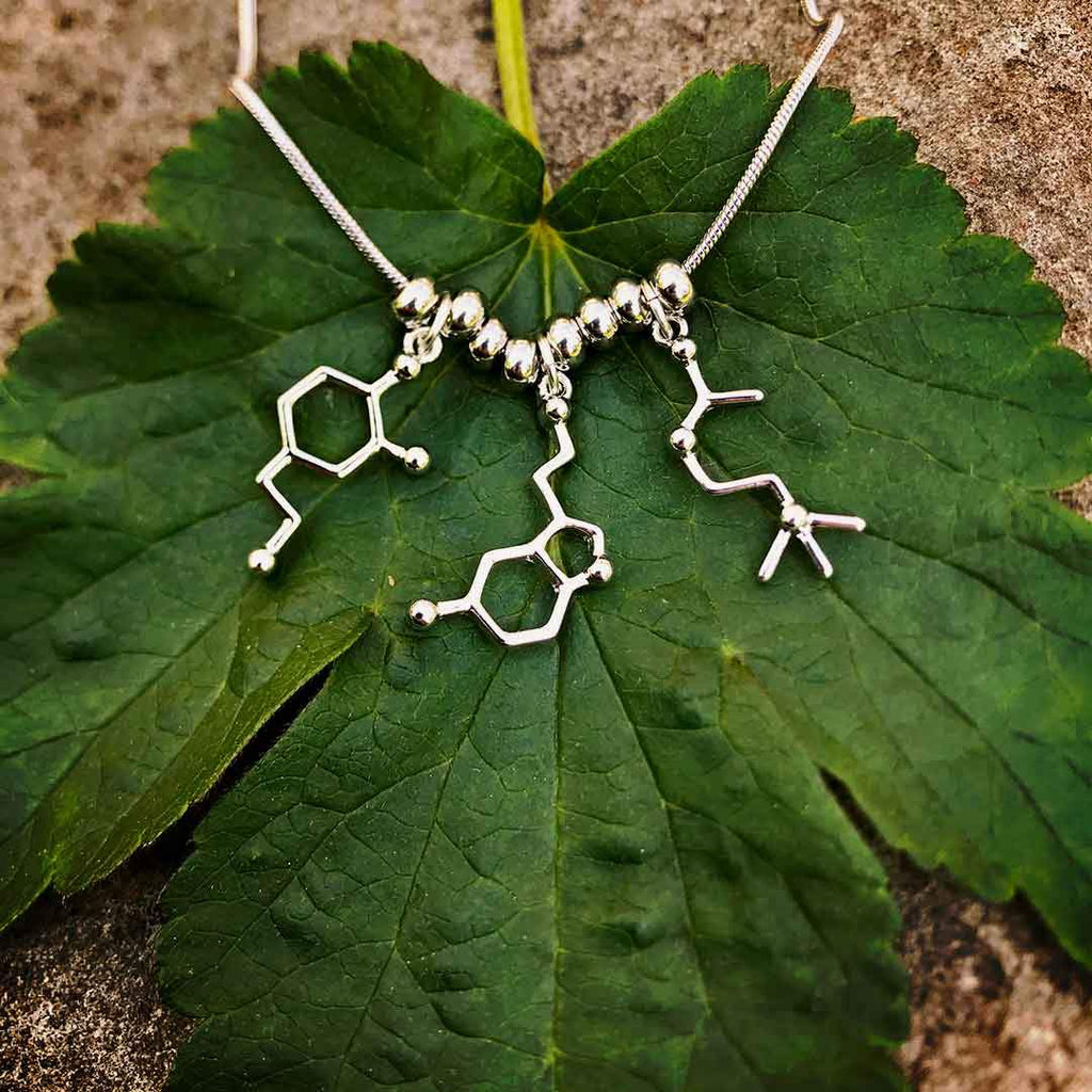 Molecules Neurotransmitter Necklace | Dopamine, Serotonin, & Acetylcholine Pendant